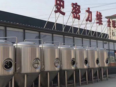 定城镇精酿啤酒设备厂—如何判断精酿啤酒设备的密封件需要更换？